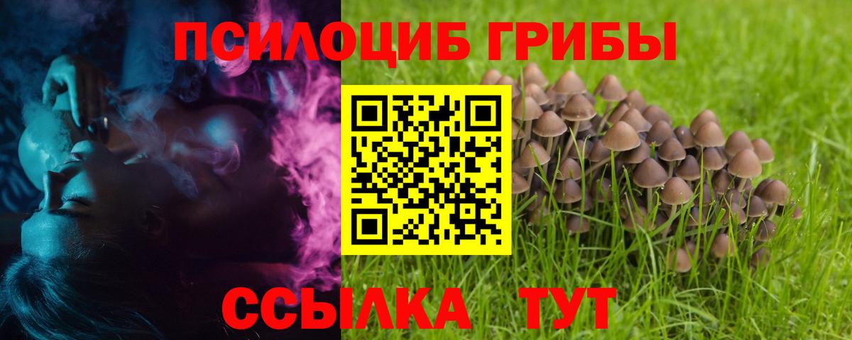 Галлюциногенные грибы мицелий  Галлюциногенные грибы GOLDEN TEACHER  Заволжье  Вход с VPN 